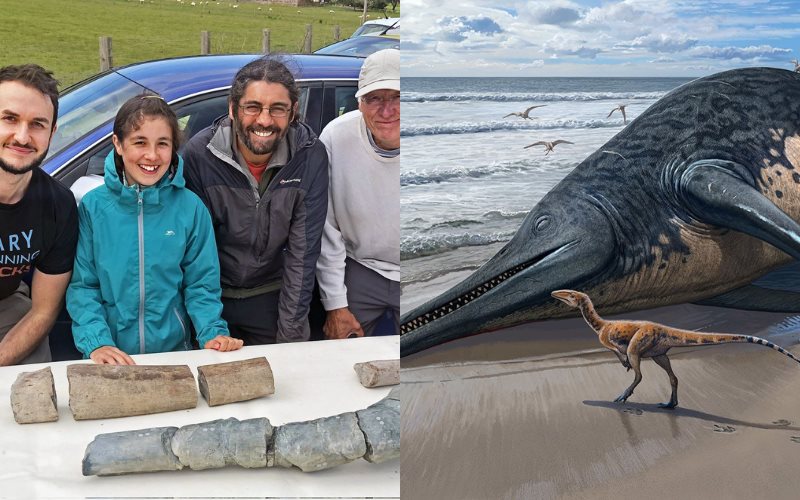 Niña de 11 años descubre el mayor reptil marino conocido