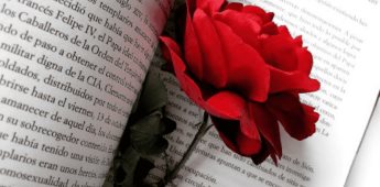 Día Internacional del Libro: Una invitación de Sant Jordi