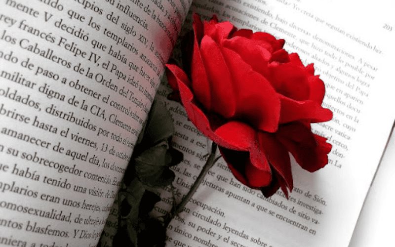 Día Internacional del Libro: Una invitación de Sant Jordi