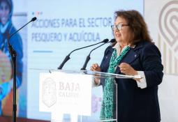 Leyzaola, no cumple con los requisitos que la ley establece para ser Secretario de Seguridad Pública en Tijuana: Karla Hodoyan (PRD)