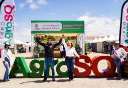 Autoridades registran medusas en Playas de Rosarito y Tijuana, advierten riesgos de tocarlas