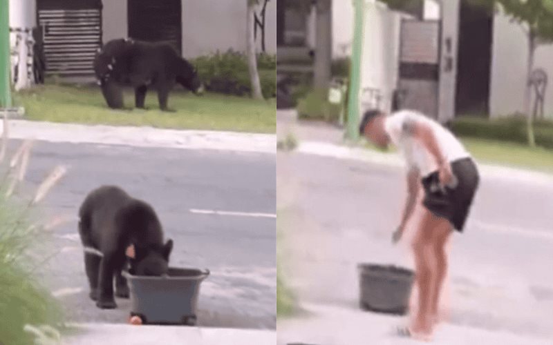 Maxi Meza da agua a osos afuera de su casa ante la ola de calor en Monterrey 