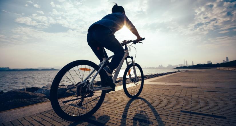 Día Mundial de la Bicicleta