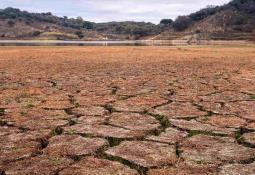 Alfonso Herrera con ACNUR en recaudación para refugiados en Brasil por las inundaciones