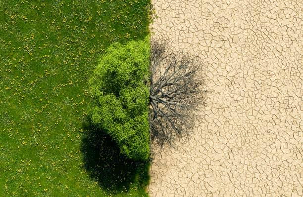 Calor y cambio climático despiertan interés de estudiantes por cuidar el medio ambiente