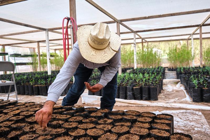 3 acciones para impulsar la conservación del medio ambiente