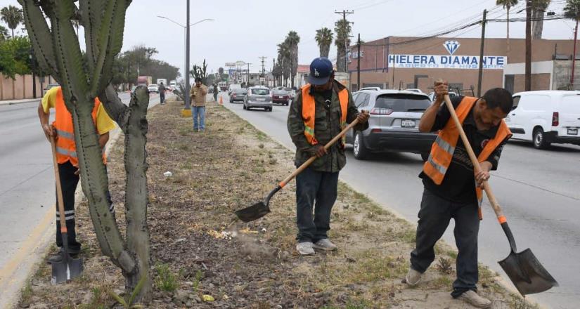 Armando Ayala limpieza de camellones en Ex Ejido Chapultepec