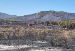 Gobernadora Marina del Pilar anuncia clases a distancia en Mexicali, su valle y San Felipe por altas temperaturas