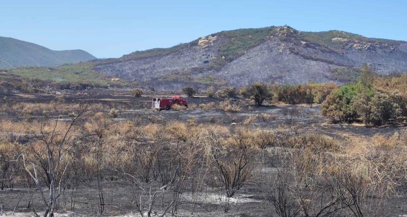 Informa alcalde Armando Ayala control de 85% del incendio en el paraje Rancho El Mogor