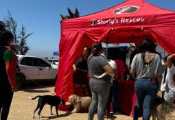 Emite Bomberos recomendaciones para visitantes de playas