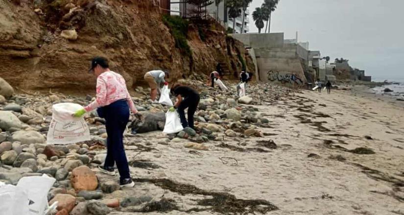 Conmemoran apertura de andador Stacks con limpieza de playa