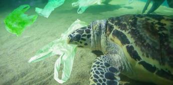 Día Internacional libre de bolsas de plástico