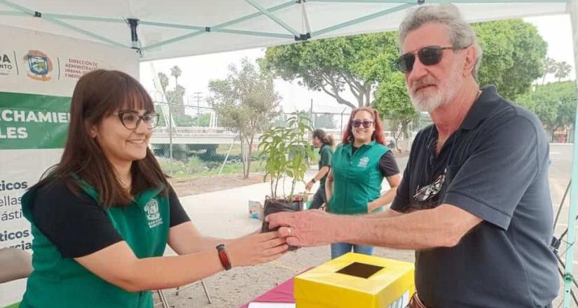 Suman más de 68 mil kilos de residuos en cuatro años de Reciclando Ensenada