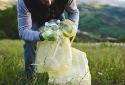 5 datos de las Cerezas de Verano que le interesan a los mexicanos