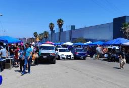 Marina del Pilar encabeza jornada gratuita de salud y prevención de rickettsia en zona este de Tijuana