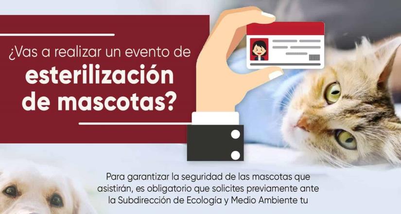 Se reitera llamado a solicitar la licencia gratuita para jornadas de esterilización de mascotas