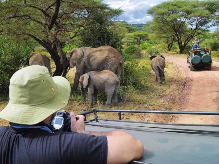 Elefantes pisotean a turista español en reserva natural de Sudáfrica