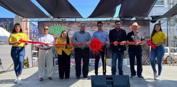 Arrancan actividades de segunda edición de "Expo Agave Tijuana 2024"