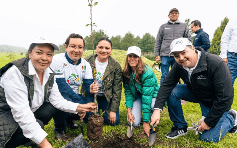 Reforestan 2,546 plantas polinizadoras y árboles en el Parque Ambiental Bicentenario