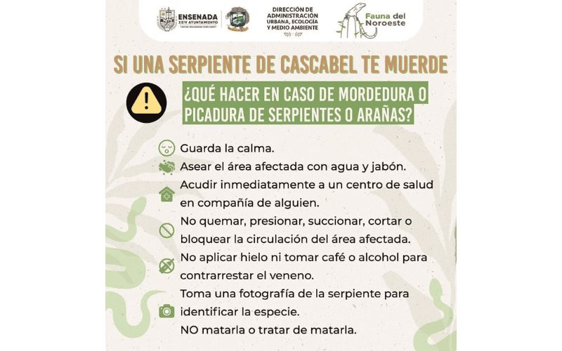 Informa Gobierno Municipal sobre la temporada de serpientes en verano