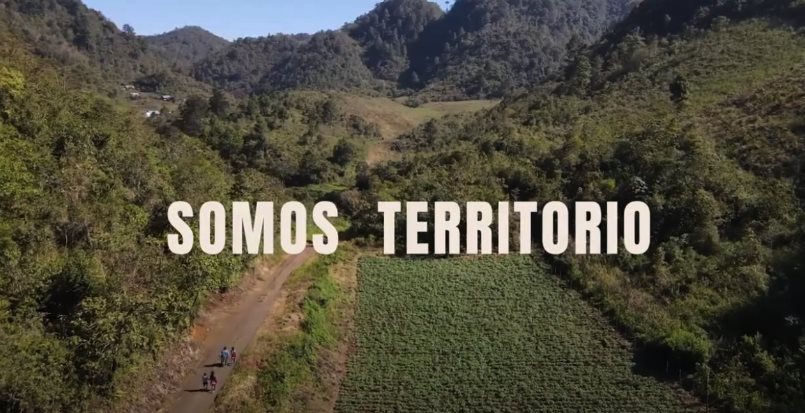 Somos territorio, una perspectiva sobre la crisis socioambiental del siglo XXI