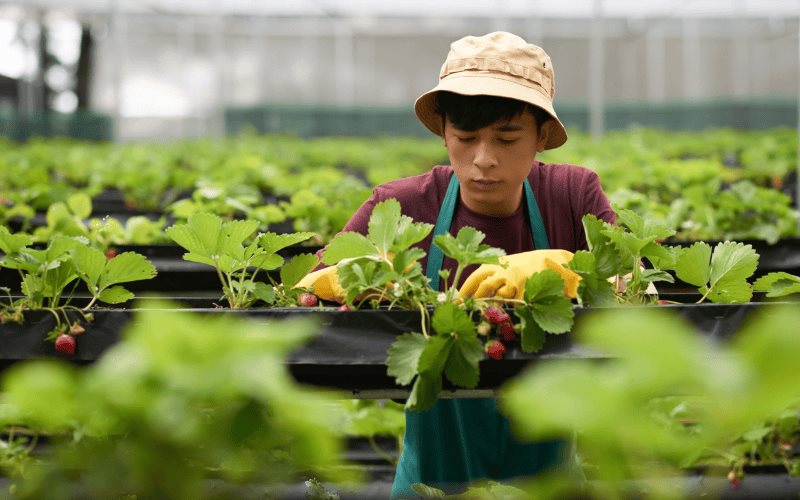 Yara impulsa a jóvenes agricultores a través de la convocatoria 35 productores menores de 35 años