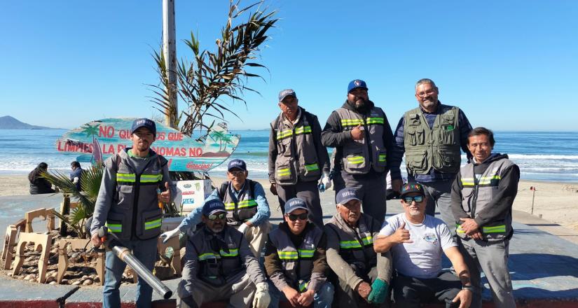 Recolectan 900 toneladas de basura en playas municipales