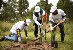 MG Motor México energiza el Maratón de la CDMX por segundo año consecutivo