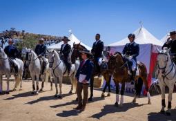 Adornan la ciudad por Fiestas Patrias