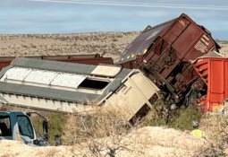 Ostok Sanctuary y AAZK colaboran en favor de la protección de fauna silvestre