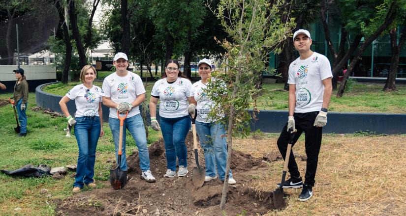 Reforestan más de 500 árboles y plantas ornamentales en el Parque Niños Héroes, en Monterrey, Nuevo León