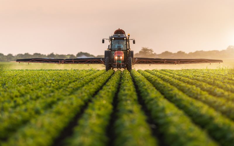 9 de septiembre: Día Mundial de la Agricultura