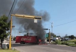 El arándano rojo y sus beneficios