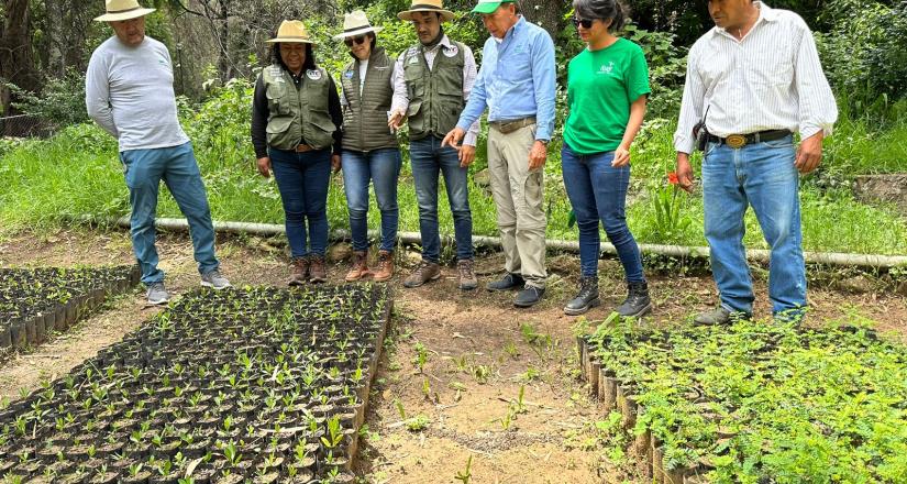 Propone Nación Verde trabajar en proyectos ecológicos de largo plazo